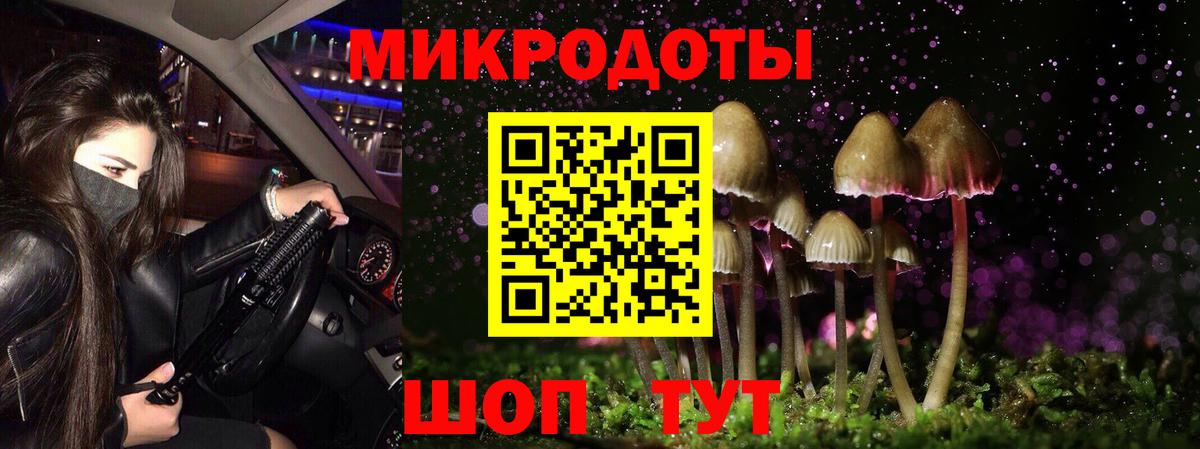 Псилоцибиновые грибы MAGIC MUSHROOMS  Вход с VPN  Рубцовск 